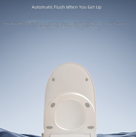 Heated Smart Toilet Seat, Auto - đánh giá và giá Home For Bathroom