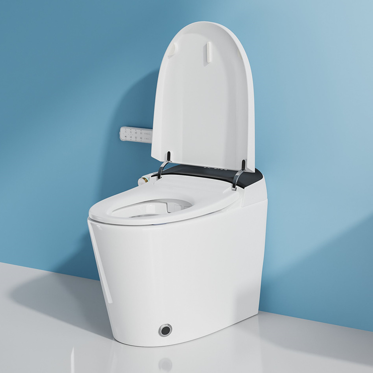 Home Decoration Bathroom Smart - đánh giá và giá Home For Bathroom